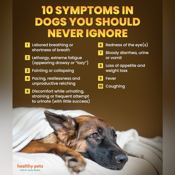 $1 DOG PIN/BROOCH. ENAMEL/METAL. NEW. $1 WITH ANY $10 ORDER OR MORE - Picture 15 of 16